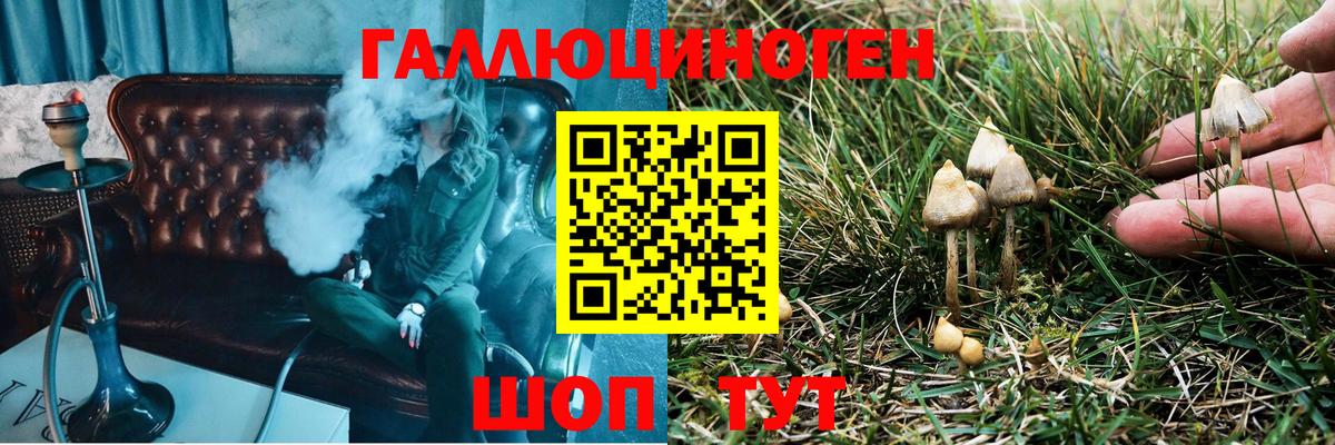 Галлюциногенные грибы Psilocybine cubensis Альметьевск