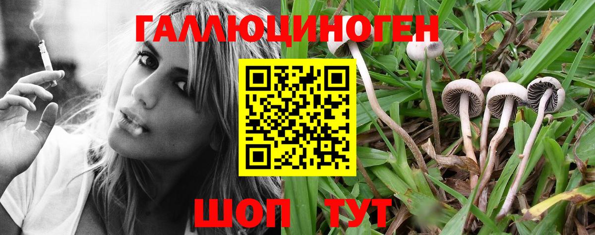 купить   Вход с VPN  Галлюциногенные грибы ЛСД  Альметьевск  Галлюциногенные грибы MAGIC MUSHROOMS 